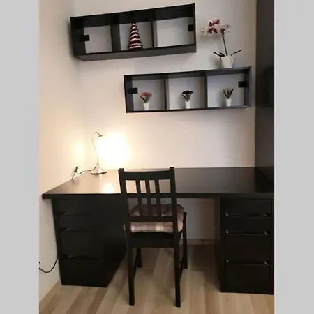 Luxury Kings 55m2 3 Pok Downtown Dobrego Pasterza Piekny Krakov