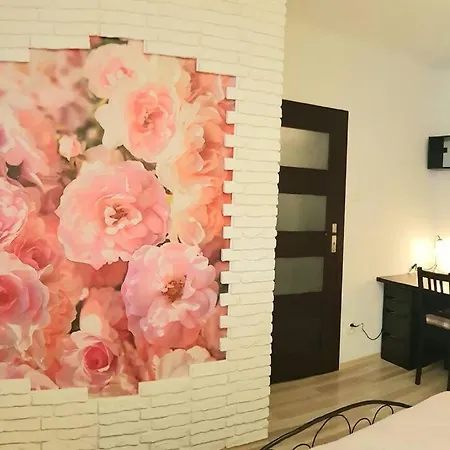 Luxury Kings 50m2 2 Pok. Downtown Dobrego Pasterza Piekny Lägenhet