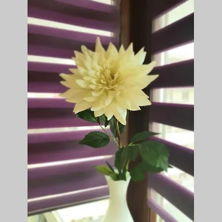 Lägenhet Luxury Kings 50m2 2 Pok. Downtown Dobrego Pasterza Piekny Kraków