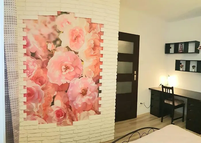 Luxury Kings 50m2 2 Pok. Downtown Dobrego Pasterza Piekny Apartment