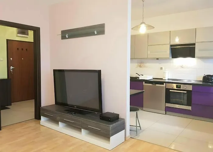 Luxury Kings 50m2 2 Pok. Downtown Dobrego Pasterza Piekny Apartment *