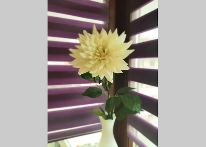 Apartment Luxury Kings 50m2 2 Pok. Downtown Dobrego Pasterza Piekny Krakow