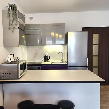 Luxury Kings 55m2 3 Pok Downtown Dobrego Pasterza Piekny Appartement Cracovie
